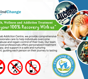 Online and Offline Rehabilitation and De-addiction Treatment